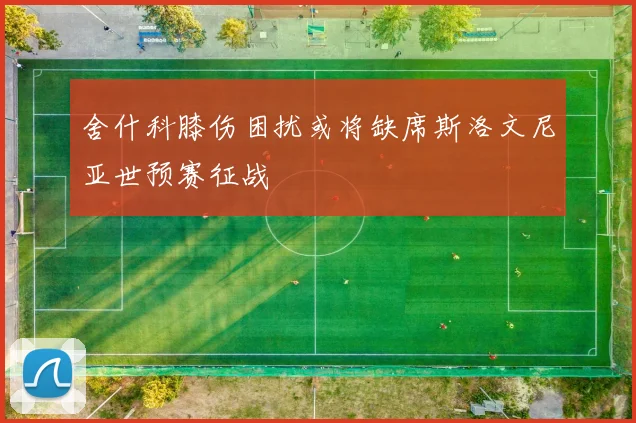 舍什科膝伤困扰或将缺席斯洛文尼亚世预赛征战