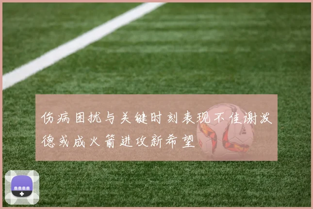 伤病困扰与关键时刻表现不佳谢泼德或成火箭进攻新希望