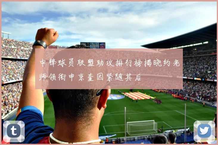 中锋球员联盟助攻排行榜揭晓约老师领衔申京奎因紧随其后